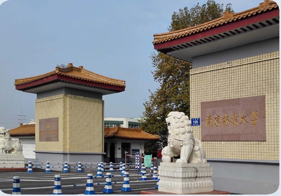 南京林業大學.jpg